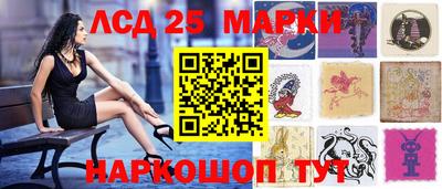 стафф Кандалакша