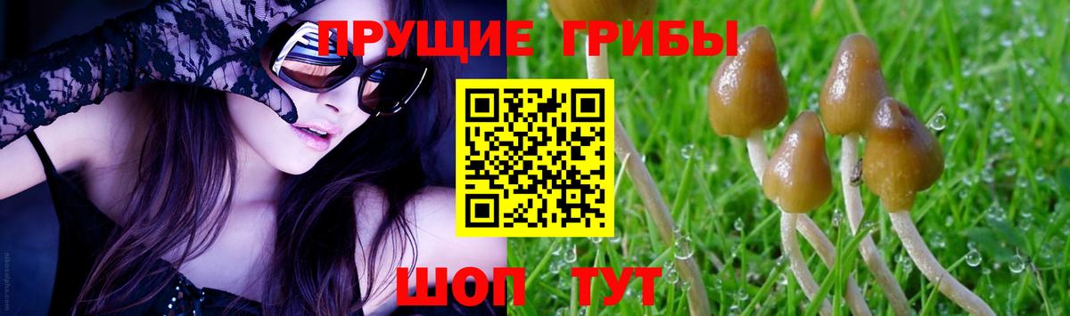 Псилоцибиновые грибы Magic Shrooms Кузнецк