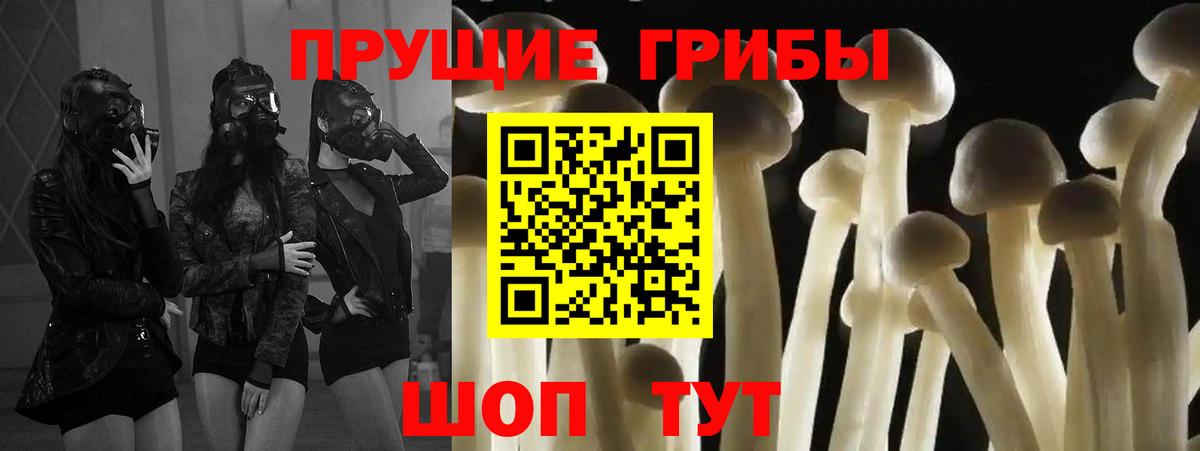 Псилоцибиновые грибы Magic Shrooms  Галлюциногенные грибы мицелий  Вход с VPN  Кузнецк 